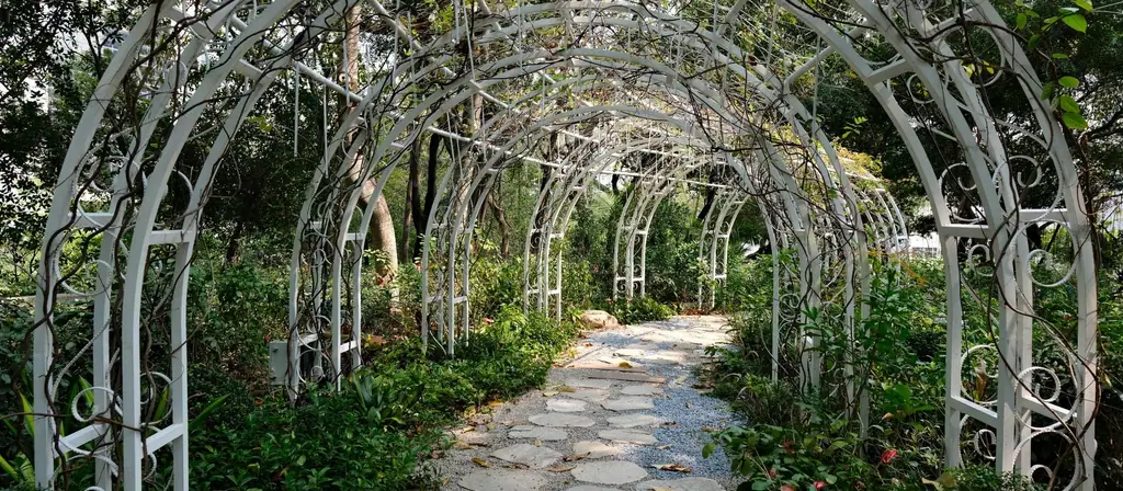 Pergole i zadaszenia tarasów: pergola nad tarasem