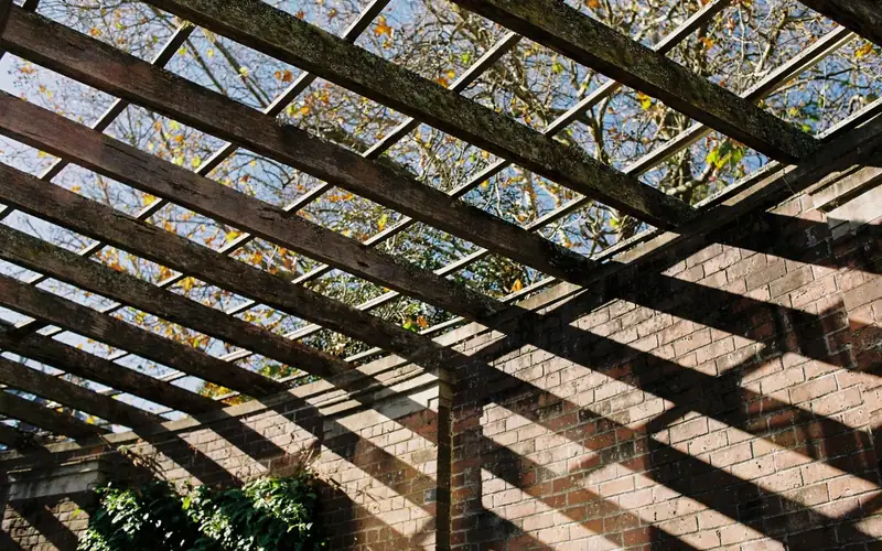 Pergola nad tarasem, w słoneczny dzień